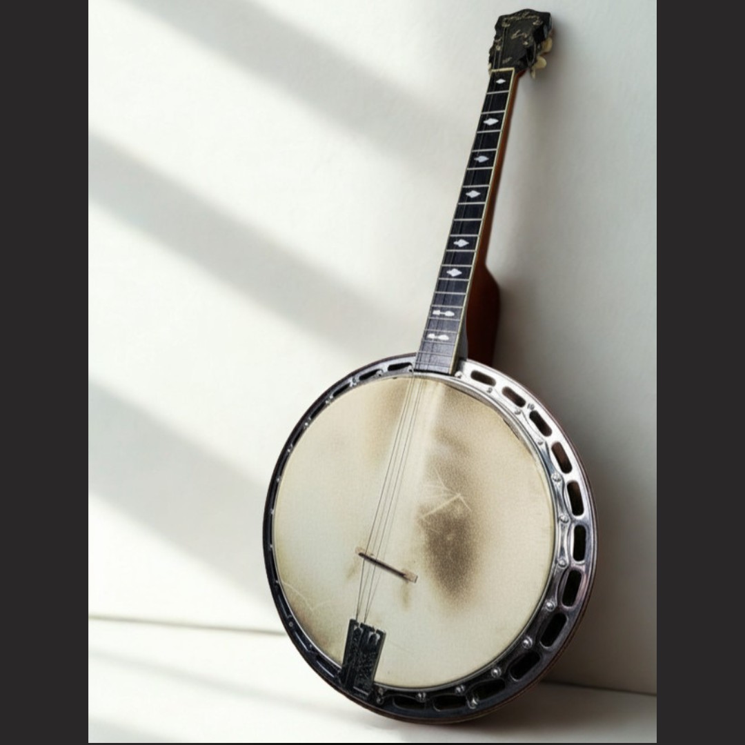 Vintage 1920s S.S. Stewart "Wondertone" 19-Fret Tenor Banjo with Original Case — photo 18