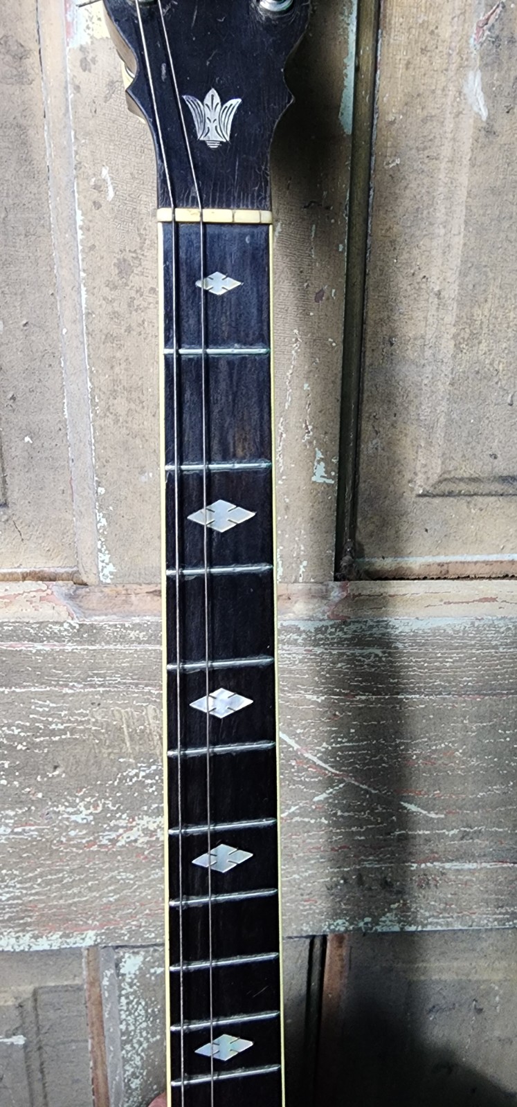 Vintage 1920s S.S. Stewart "Wondertone" 19-Fret Tenor Banjo with Original Case — photo 4